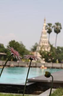 Maraya Hotel & Resort -SHA Plus - Chiang Mai - 2