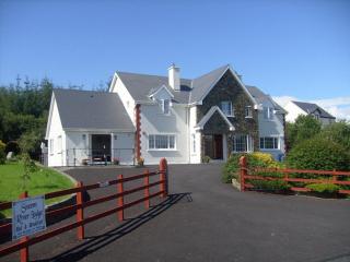 Sneem River Lodge Bed & Breakfast - Sneem - 9