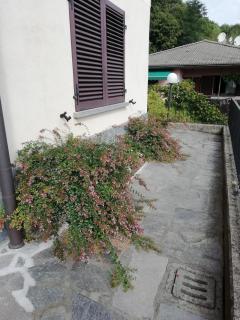 Villa Banfi - Lavena Ponte Tresa - 2