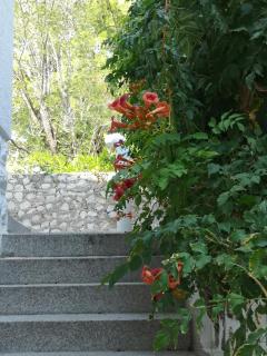 Apartments Bassi - Stara Baška - 1