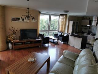 Apartment Inkaras - Klaipėda - 9