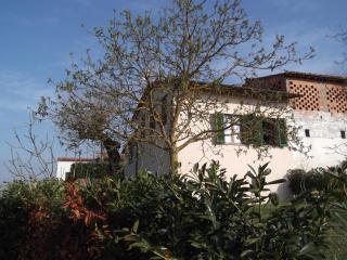 Agriturismo Le Caselle - Cerbaia - 9