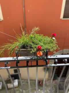 B&B Via Roma - Viggianello - 9