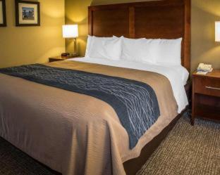 Comfort Inn Elizabeth City near University - 9