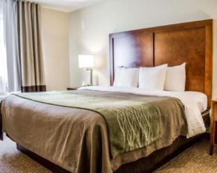 Comfort Inn Fort Myers Northeast - Fort Myers - 7