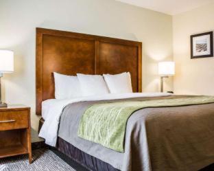 Comfort Inn Fort Myers Northeast - 6