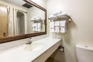 Econo Lodge Inn & Suites Fairview Heights St Louis - Fairview Heights - 9