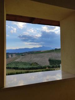 Agriturismo Terra dei Falchi - Castilenti - 7