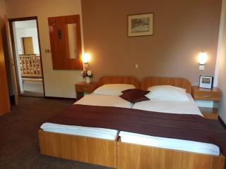 Rakovica room with WiFi (4958-1) - Rakovica - 7