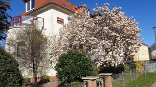 Zimmervermietung Koltermann - Greifswald - 5