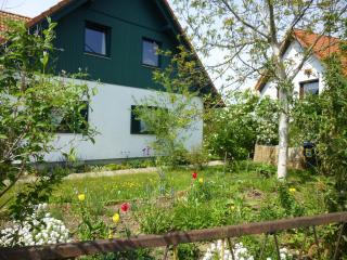 Ferienwohnung Muelenz - Dresda - 8