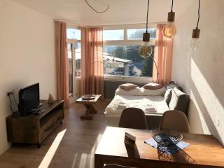 Zu Hause am See - Pool, Sauna, Fitnessraum - Schluchsee - 0