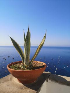 Hotel Dimora Fornillo - Positano - 8