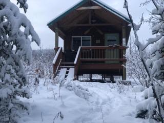 Wrangell Mountain Lodge- Private Bathroom with shower - McCarthy - 4