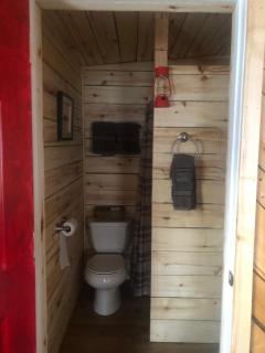 Wrangell Mountain Lodge- Private Bathroom with shower - McCarthy - 1