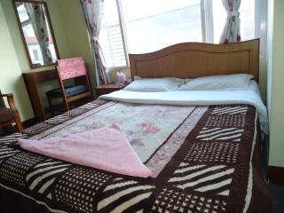 Hotel Discovery Inn - Kathmandu - 7