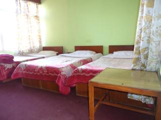 Hotel Discovery Inn - Kathmandu - 4