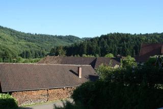 Ferienwohnung Höhner - Gengenbach - 9