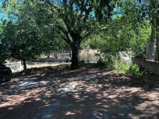 Chambre indépendante au Joli Mazet à Nîmes idéalement situé entre la garrigue et la ville - Nimes - 5