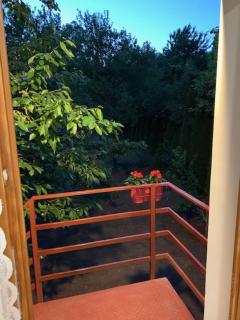 Búzavirág Apartman - 6