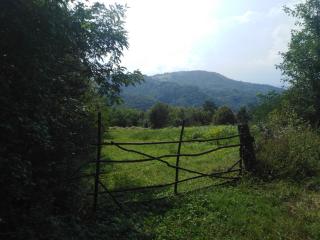 Guesthouse Smiljanić - Slavkovica - 9