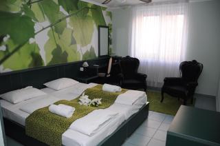 Green Hotel Budapest - Budapest - 7