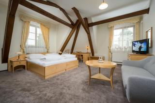 Hotel Zlaty Lev - Jablonec nad Nisou - 9