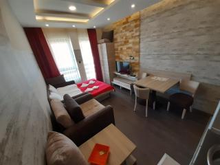Panorama apartments in Milmari Resort - Kopaonik - 9