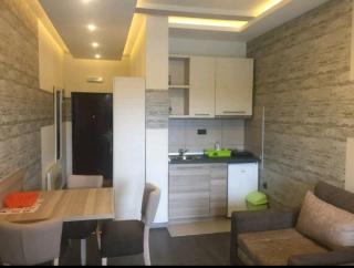 Panorama apartments in Milmari Resort - Kopaonik - 8