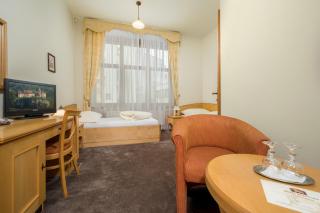 Hotel Zlaty Lev - Jablonec nad Nisou - 3