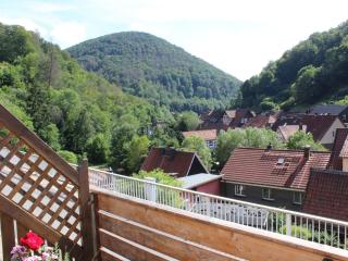 Apartment near the ski area in Zorge - Zorge - 8