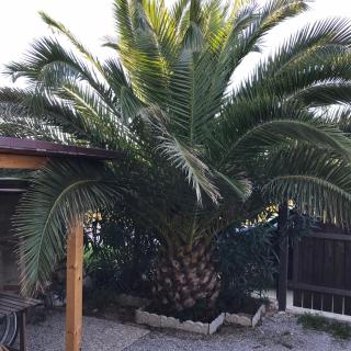 Casetta alla Caduta - San Vincenzo - 7
