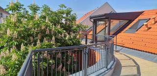 Piacsek Apartmanház - Pécs - 8