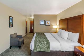 Comfort Inn University - Missoula - 7