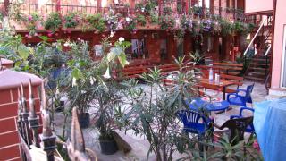 Pensiunea Pluto Sulina - 1