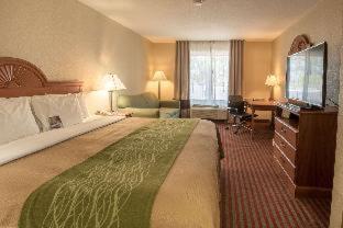Clarion Pointe Racine - Mount Pleasant - 7