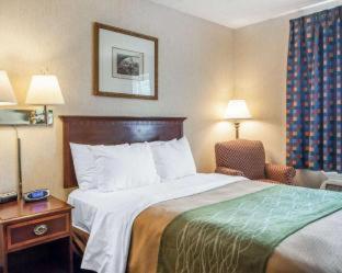 Quality Inn near Toms River Corporate Park - Manchester Township - 6