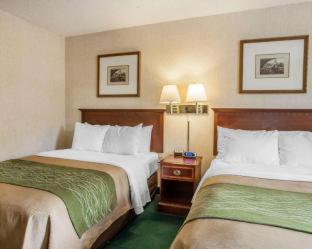 Quality Inn near Toms River Corporate Park - 4
