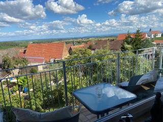Atelier de Pfalz-Loftstyl mit Pfalzblick - 3