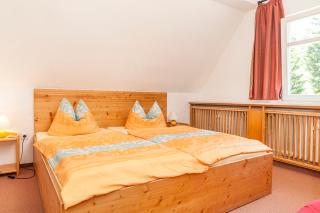 Pension und Gaststätte Naturbaude Eschenhof - Oberwiesenthal - 9