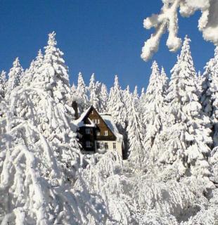 Pension und Gaststätte Naturbaude Eschenhof - Oberwiesenthal - 3