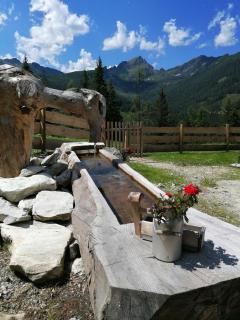 Ampferkaralm Hütte - Forstau - 6