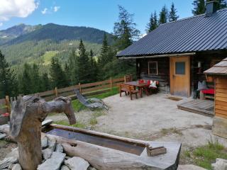 Ampferkaralm Hütte - Forstau - 4
