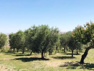 Agriturismo Casale Cerere - Lacedonia - 4