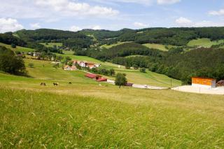 Waldhof Grasel - Neuhaus - 8