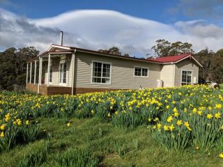 Mountain Blue Guest House - Deloraine - 6