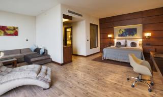 Dedeman Erbil Hotel City Center - Erbil - 9