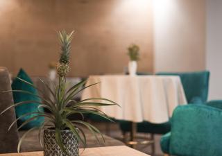 Park Hotel Villa Etschland - Plaus - 3