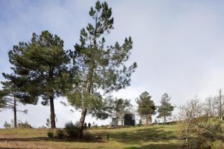 CASA NO CASTANHEIRO - Meda - 6