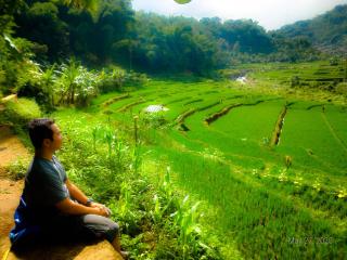 Rumah Kina Putih - Bandung - 5
